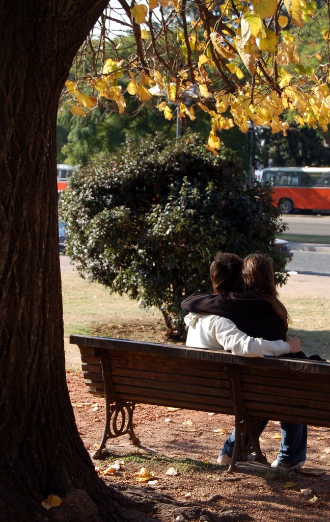 Cursilerías de otoño 2
