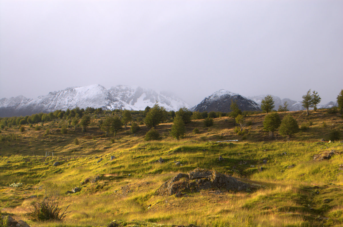 DSC_4424.jpg